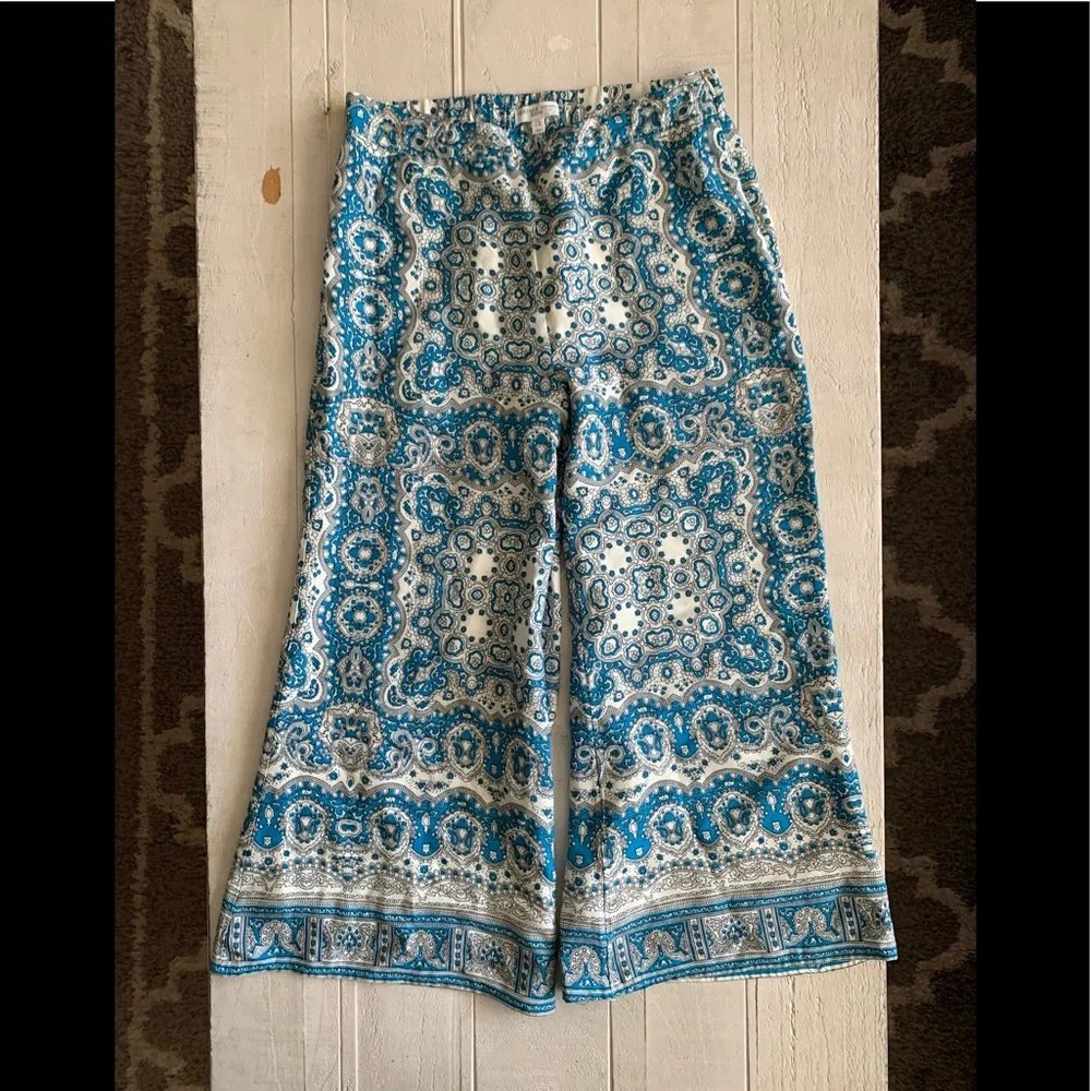 Anthropolgoie Feather Bone Talese Wide Leg Pant - 8 - Picture 3 of 9